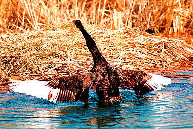 《杀戮空间2》更新Deep Blue Z上线 新地图武器追加